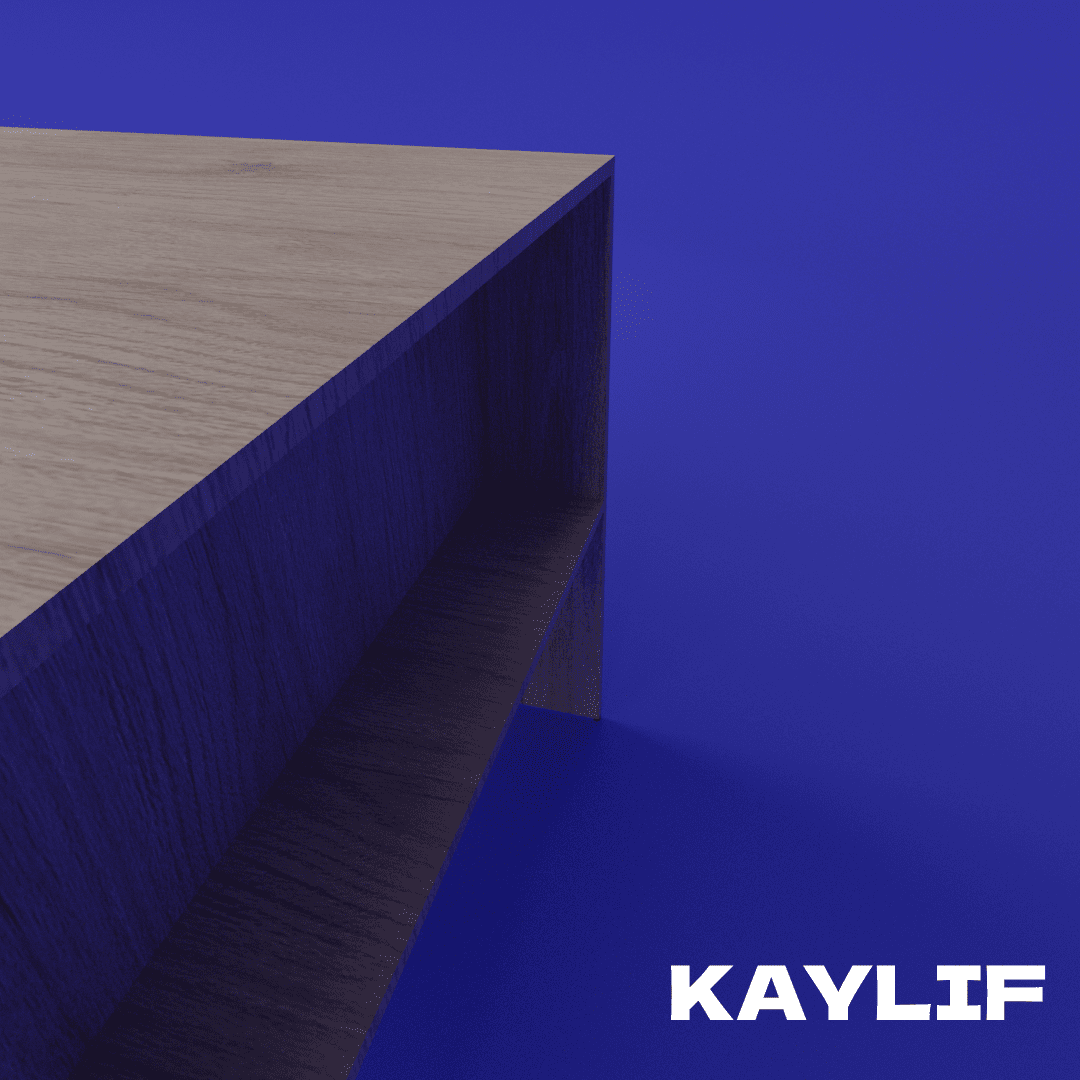 ZAHIR-01 | ROBLE - Vista 3